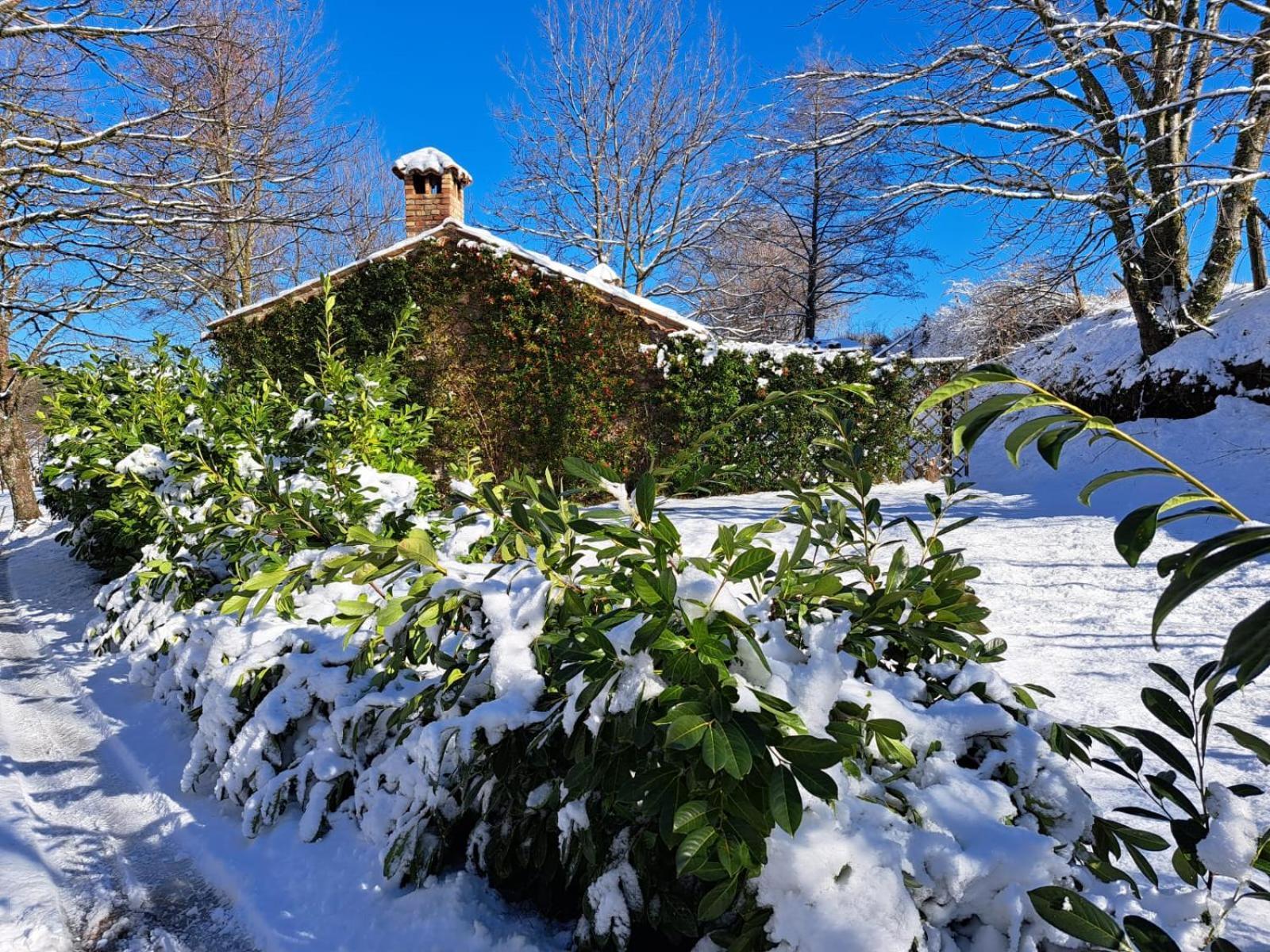 Torre Camigliati Dimora Storica Hotel Camigliatello Silano Buitenkant foto