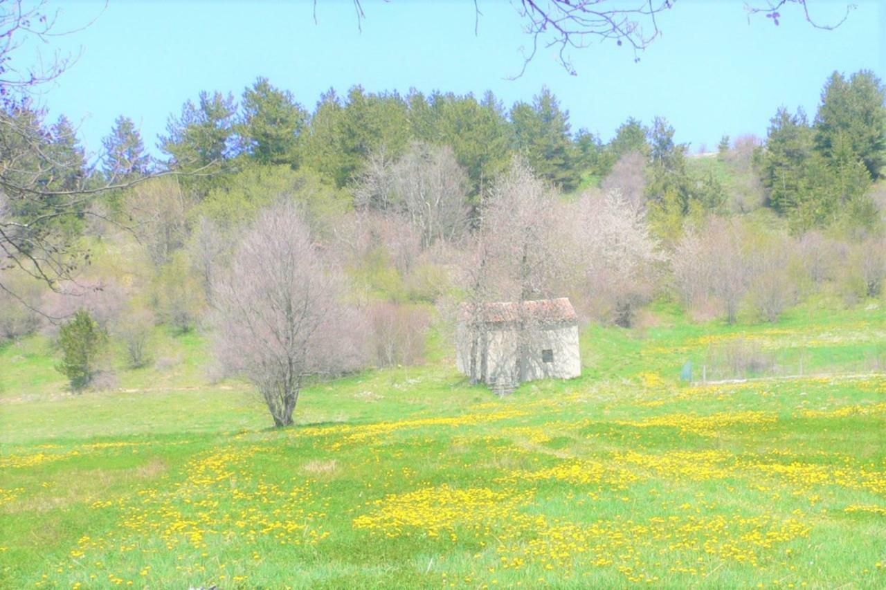 Torre Camigliati Dimora Storica Hotel Camigliatello Silano Buitenkant foto