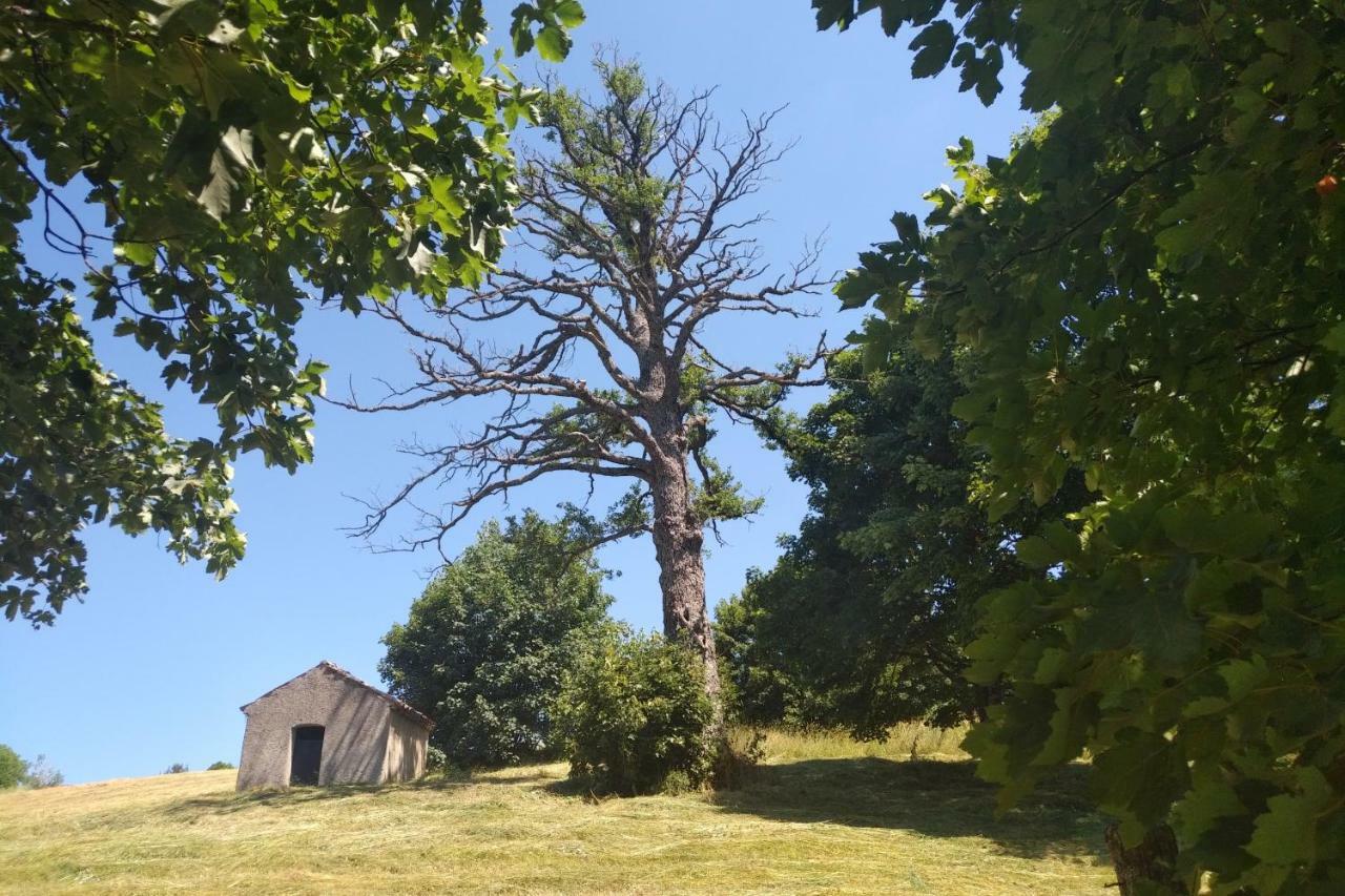 Torre Camigliati Dimora Storica Hotel Camigliatello Silano Buitenkant foto